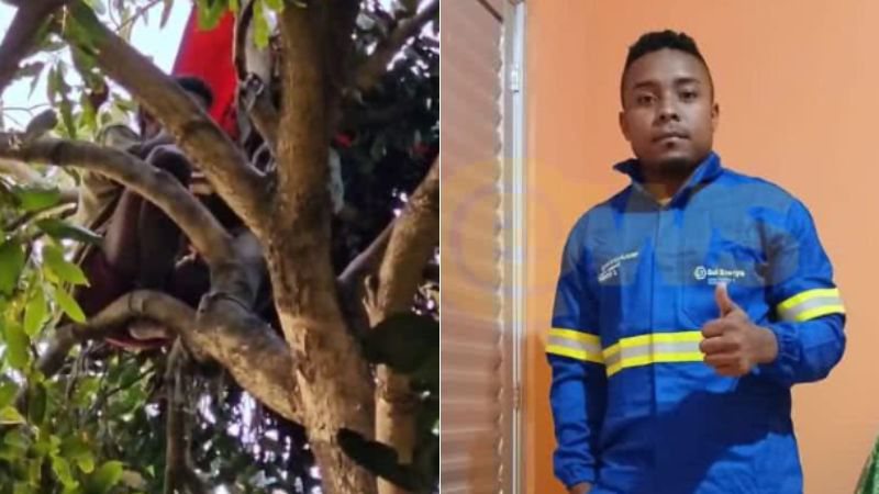 Homem resgatado em cima de árvore em Salvador diz que ficou 4 meses ‘comendo jamelão e tomando água de coco’